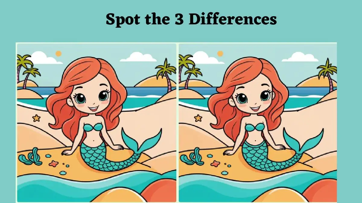 Spot the Difference Picture Puzzle Game
